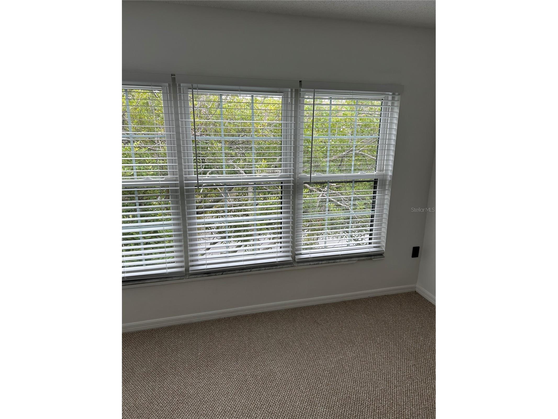 2462 Kingfisher Lane #J203 Clearwater FL 33762 TB8472880 image3