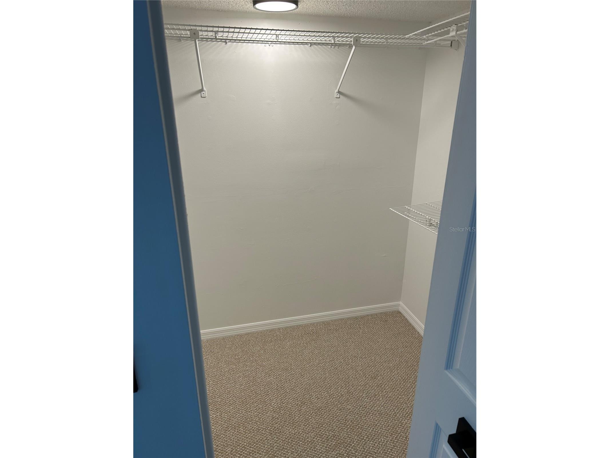 2462 Kingfisher Lane #J203 Clearwater FL 33762 TB8472880 image7