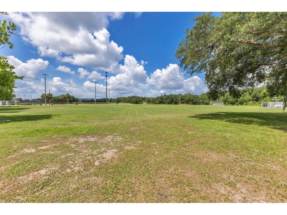 2462 Mill Run Boulevard Kissimmee FL 34744 O6418912 image44