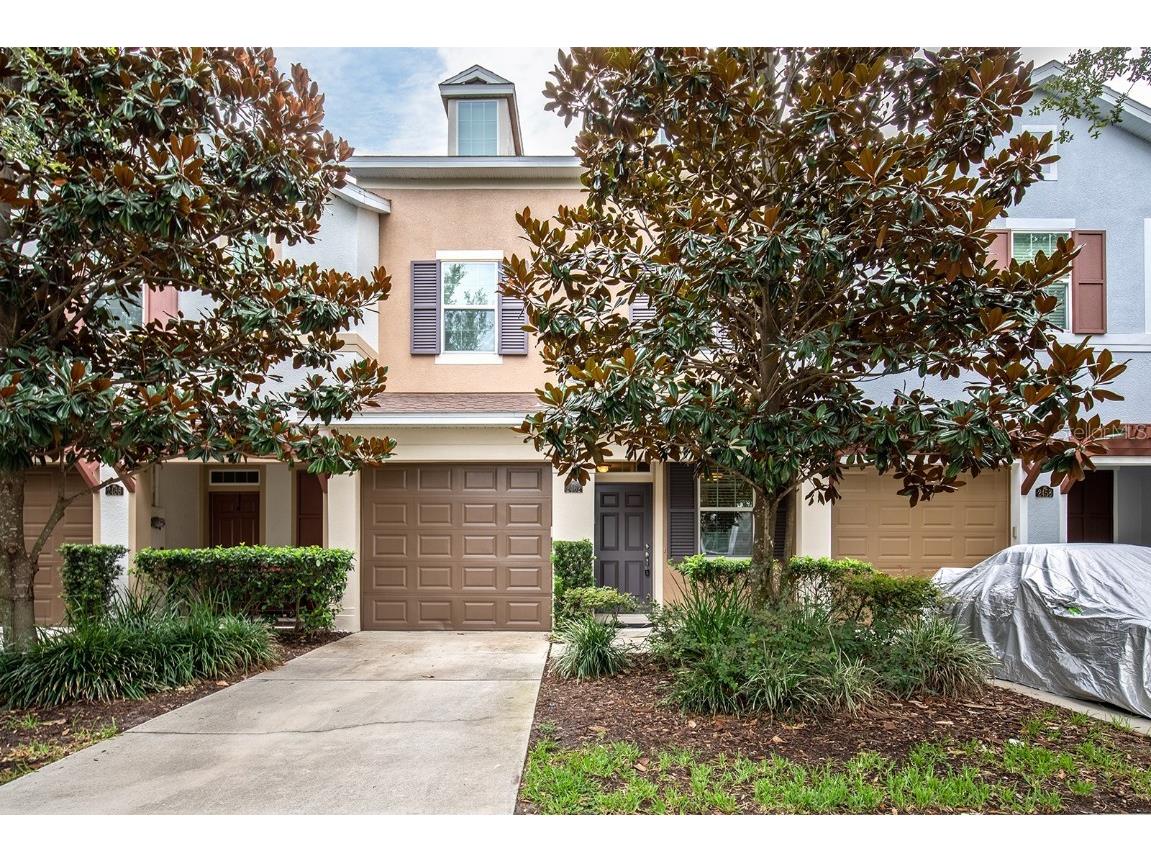 2462 Viterbo Way Ocoee FL 34761 O6124193 image1