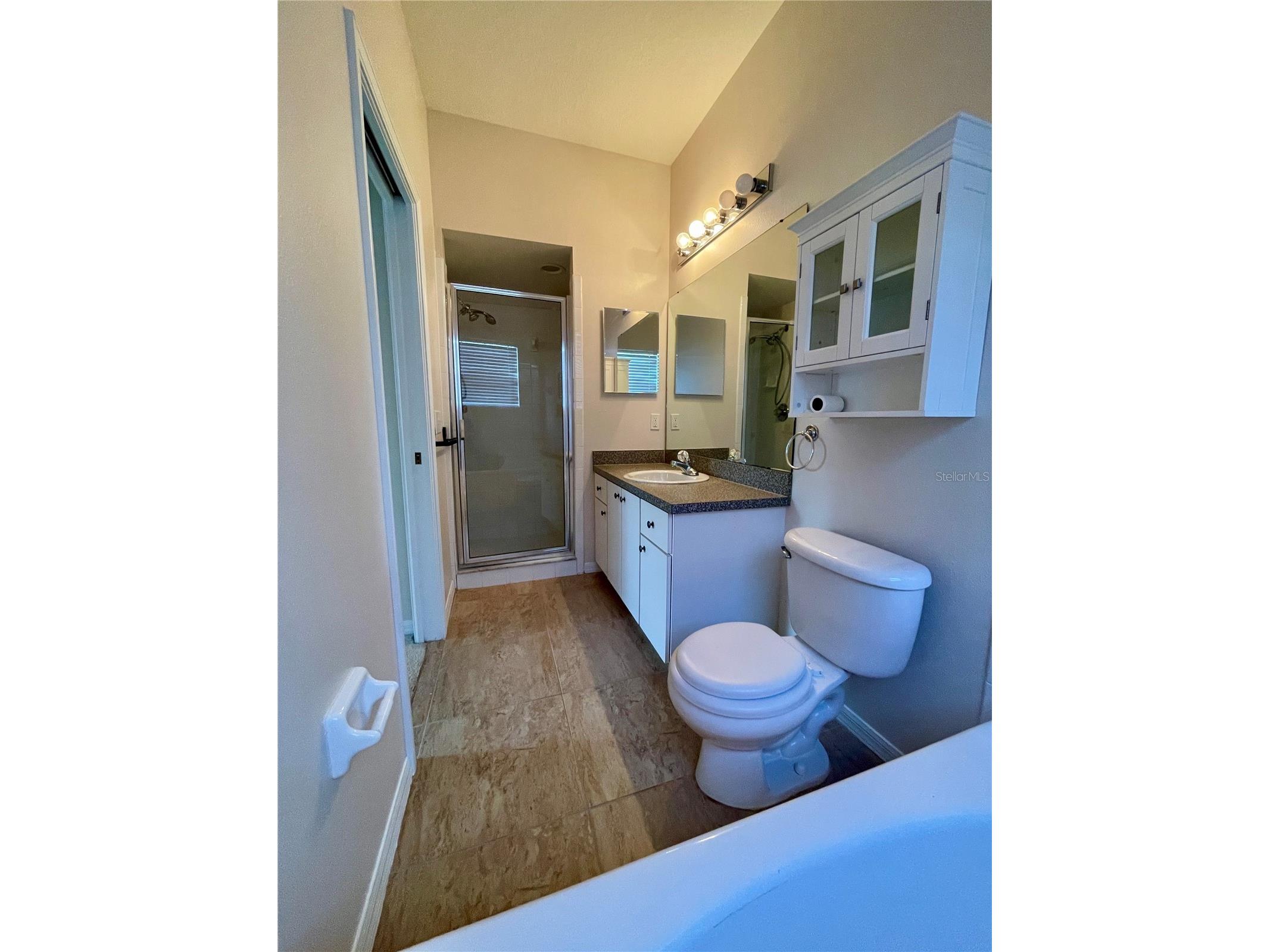 24622 Portofino Drive Lutz FL 33559 TB8481392 image10