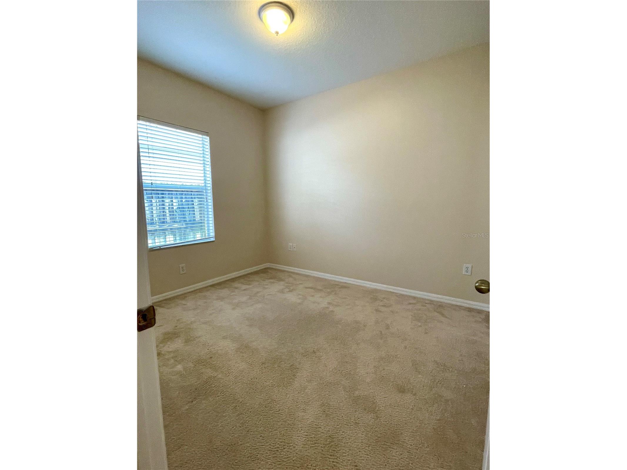 24622 Portofino Drive Lutz FL 33559 TB8481392 image9