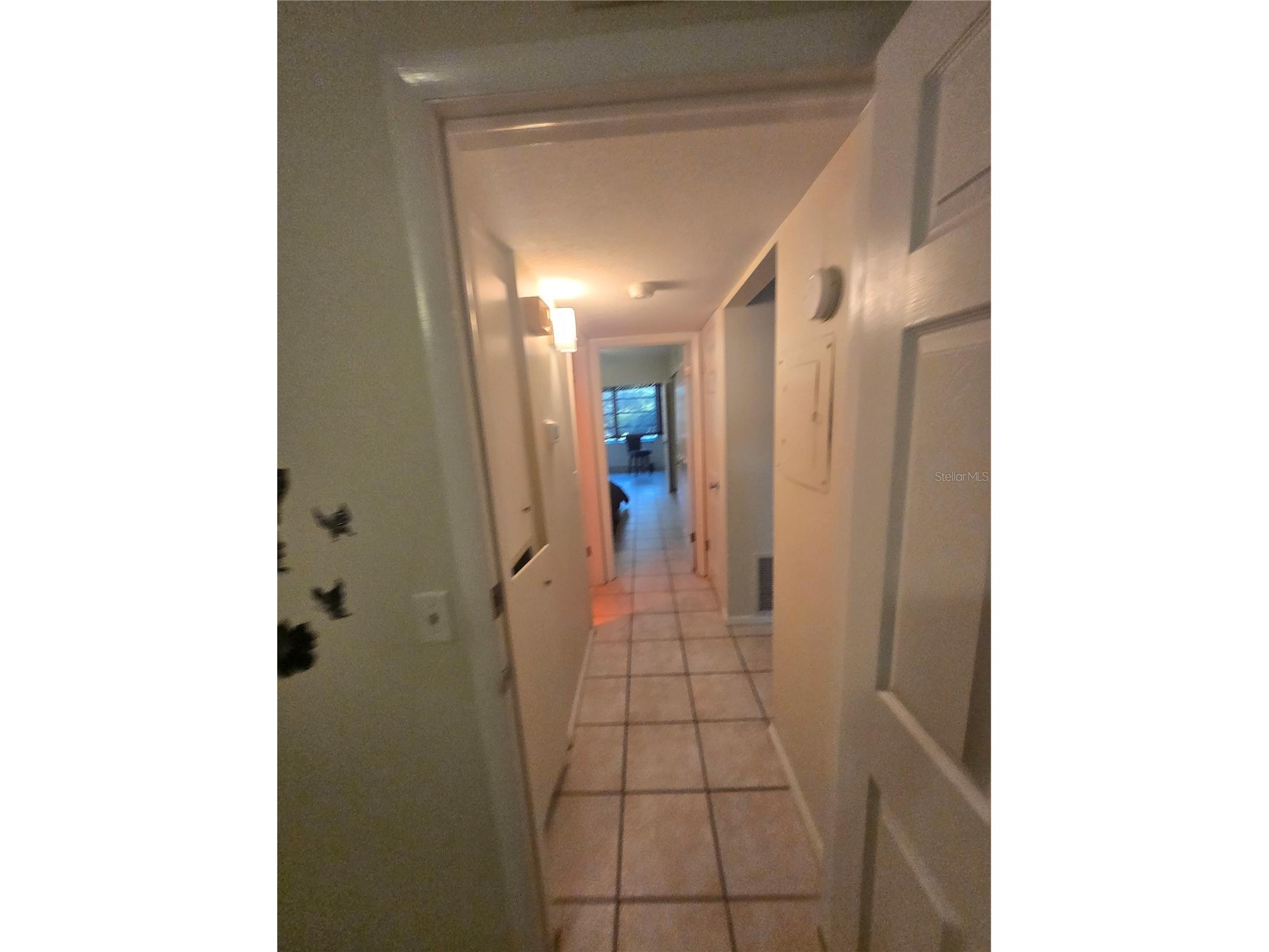 2463 Brazilia Drive #39 Clearwater FL 33763 TB8505354 image10