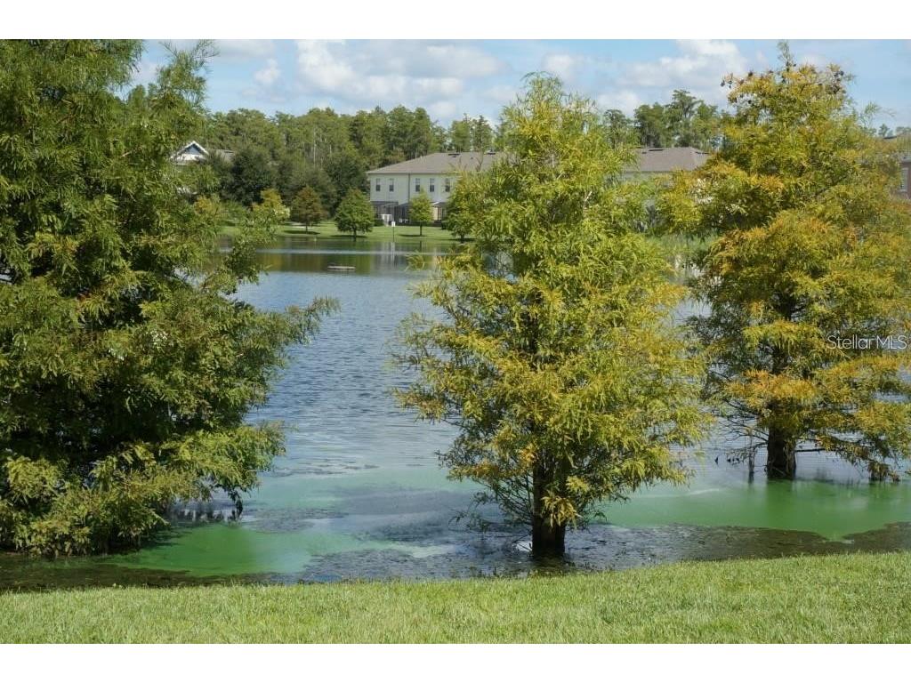 2463 Caravelle Circle Kissimmee FL 34746 O6125057 image1