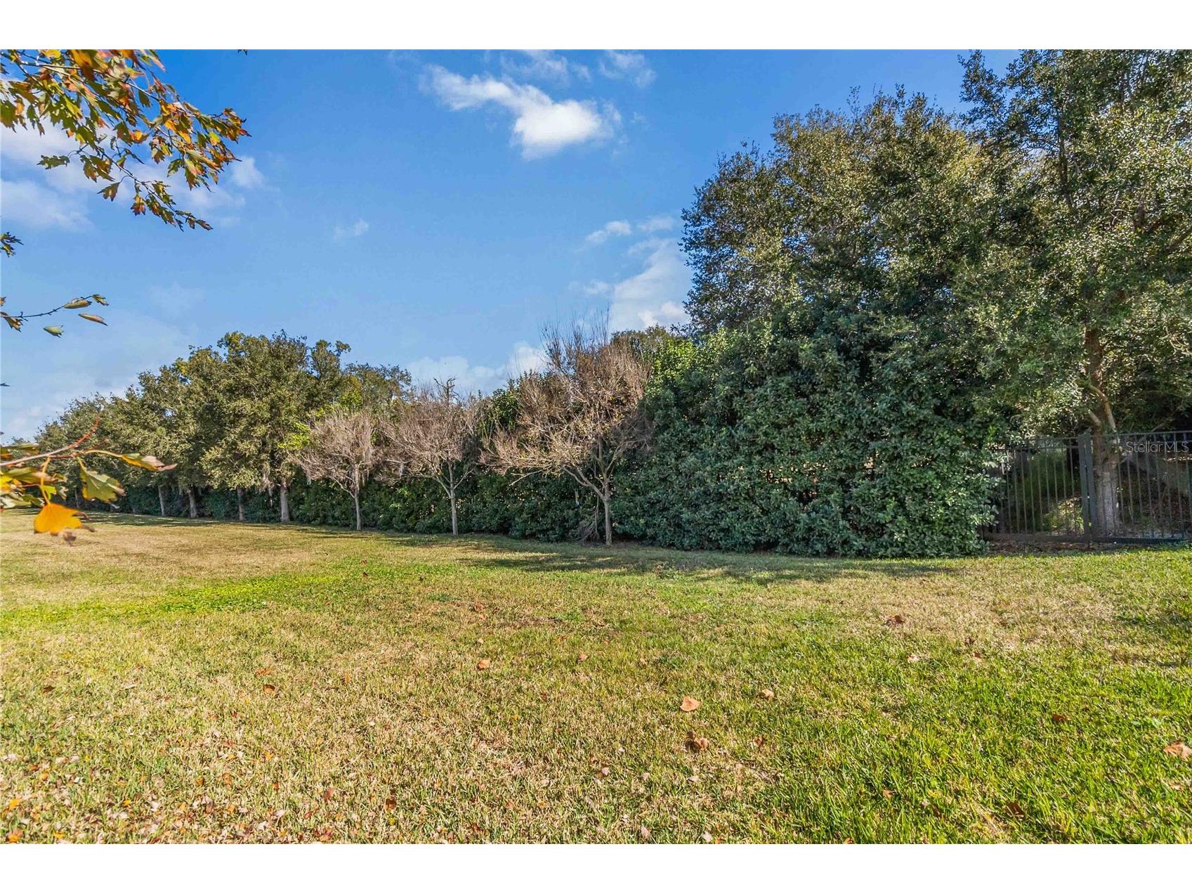 2463 Datura Loop Saint Cloud FL 34772 S5141394 image41