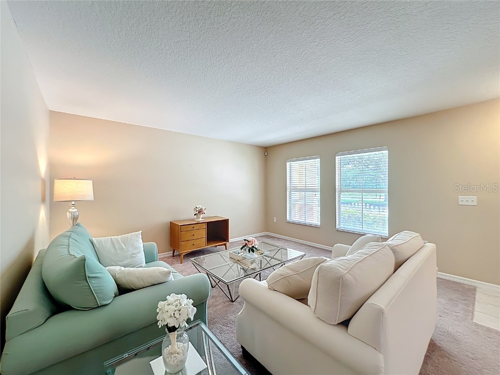 2463 Lacerta Drive Orlando FL 32828 O6335510 image10