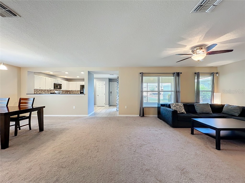 2463 Lacerta Drive Orlando FL 32828 O6335510 image12