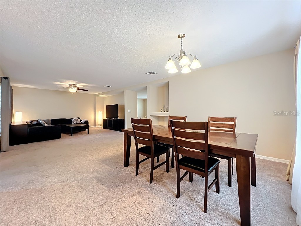 2463 Lacerta Drive Orlando FL 32828 O6335510 image15