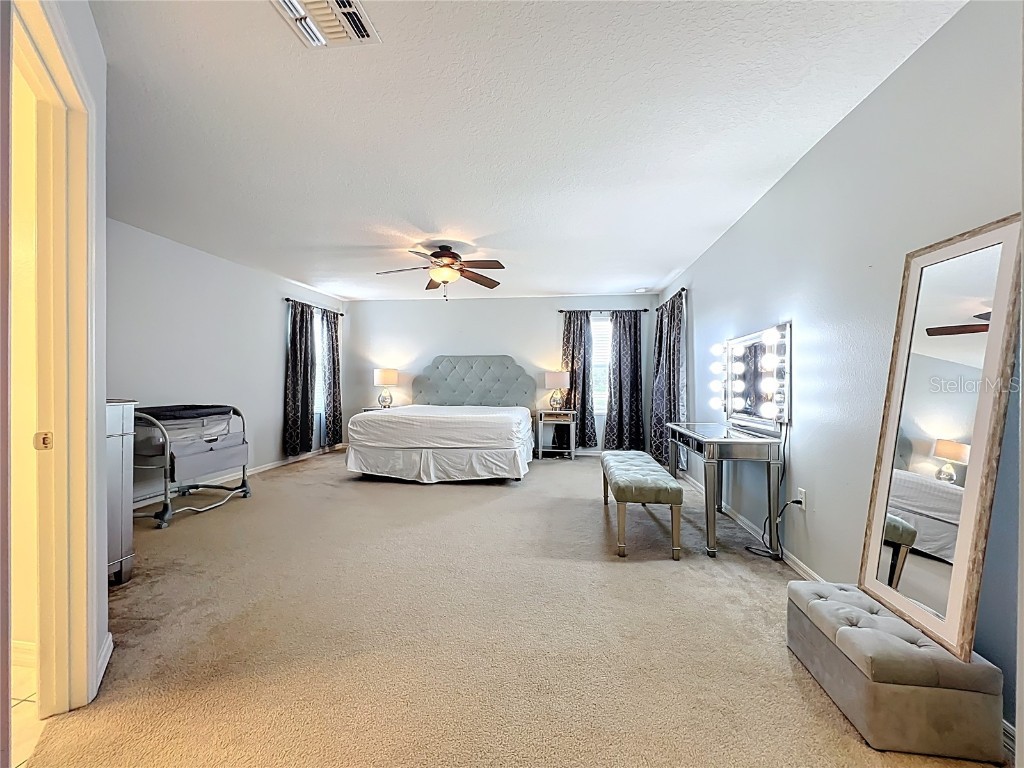 2463 Lacerta Drive Orlando FL 32828 O6335510 image40