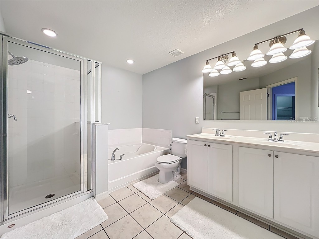 2463 Lacerta Drive Orlando FL 32828 O6335510 image44