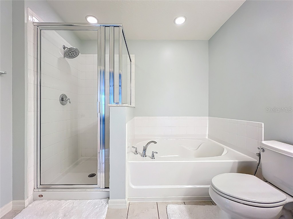 2463 Lacerta Drive Orlando FL 32828 O6335510 image45