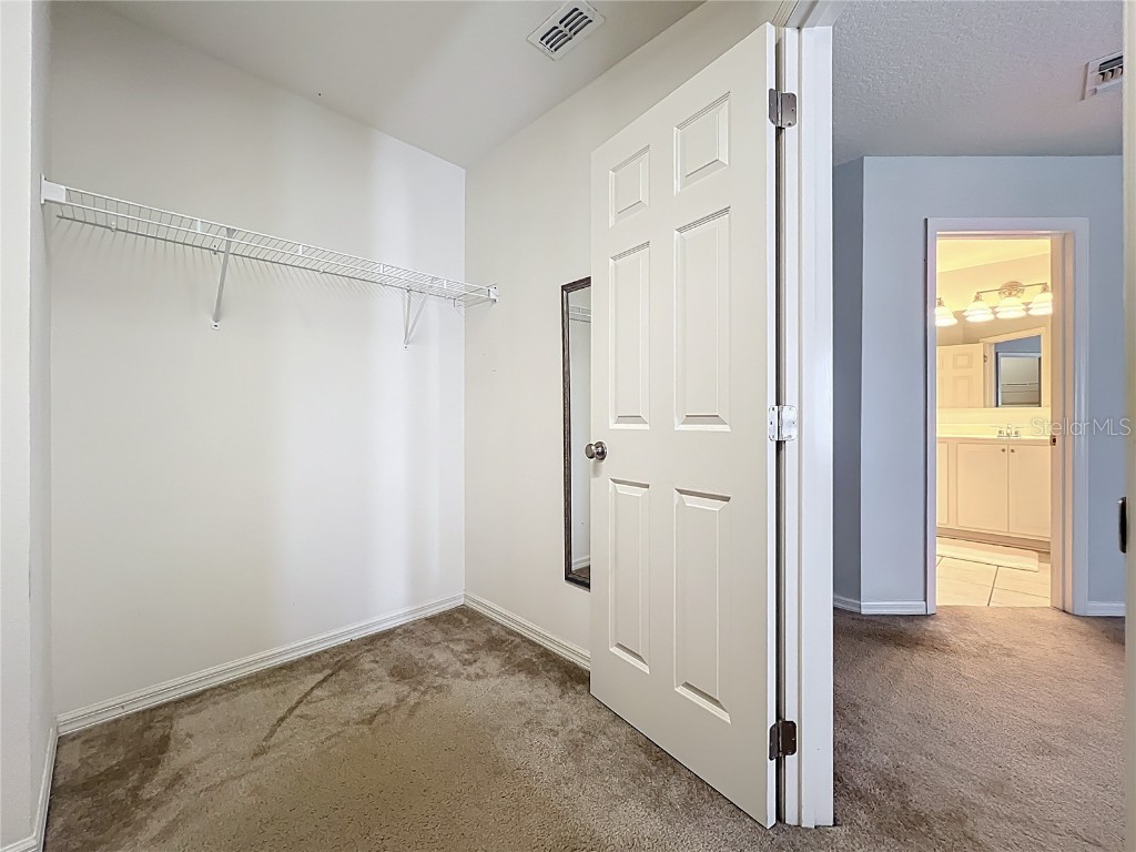 2463 Lacerta Drive Orlando FL 32828 O6335510 image46