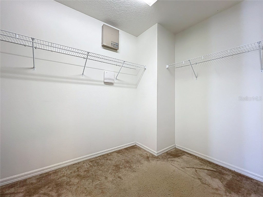 2463 Lacerta Drive Orlando FL 32828 O6335510 image47