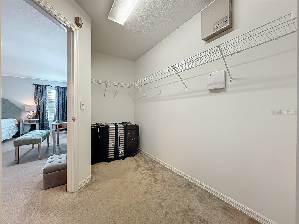 2463 Lacerta Drive Orlando FL 32828 O6335510 image48