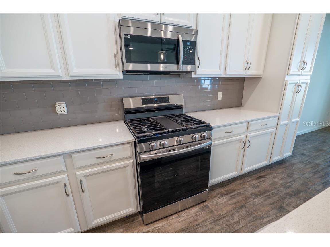 2463 Natoma Boulevard Mount Dora FL 32757 O6356771 image12