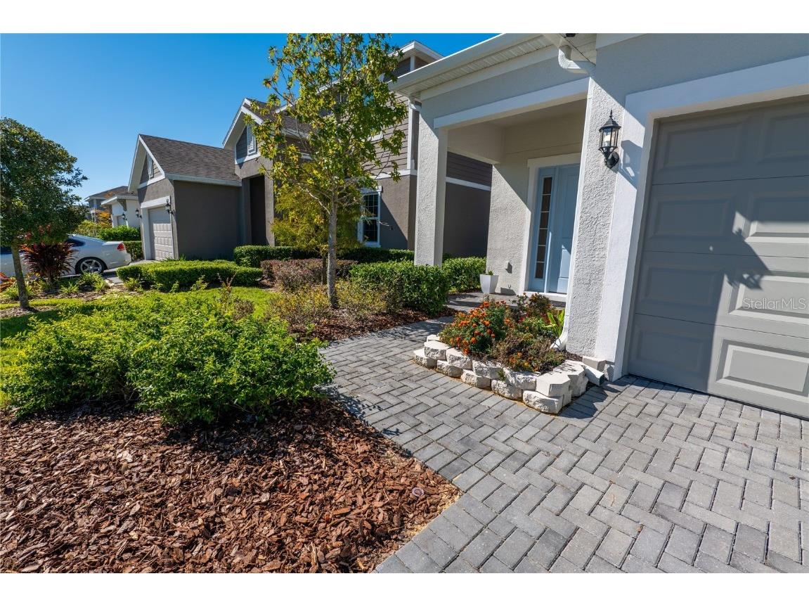 2463 Natoma Boulevard Mount Dora FL 32757 O6356771 image3