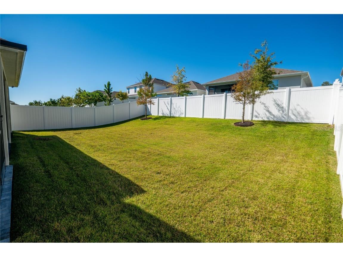 2463 Natoma Boulevard Mount Dora FL 32757 O6356771 image46