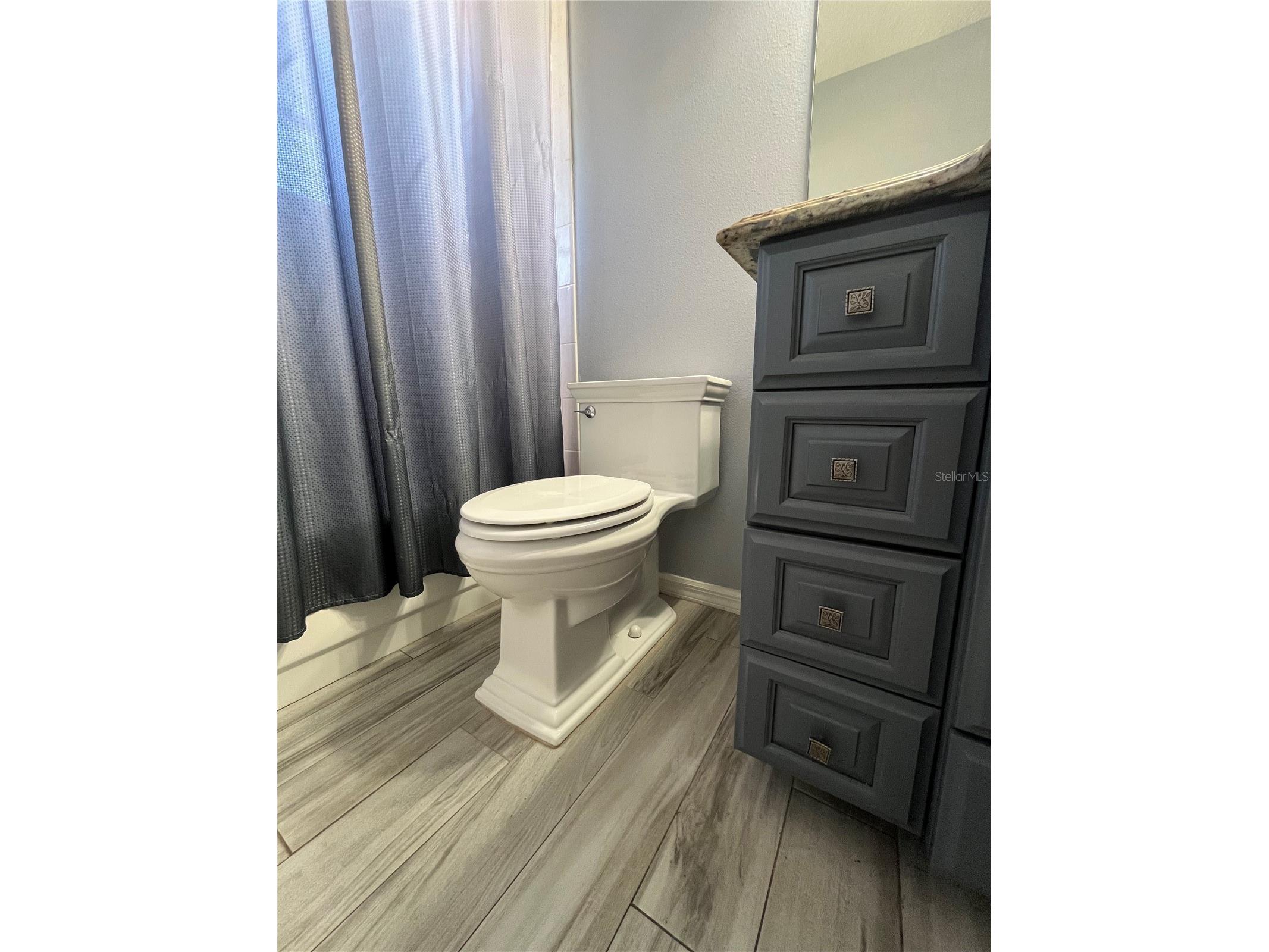 2463 Stephanie Drive Spring Hill FL 34608 W7882528 image18
