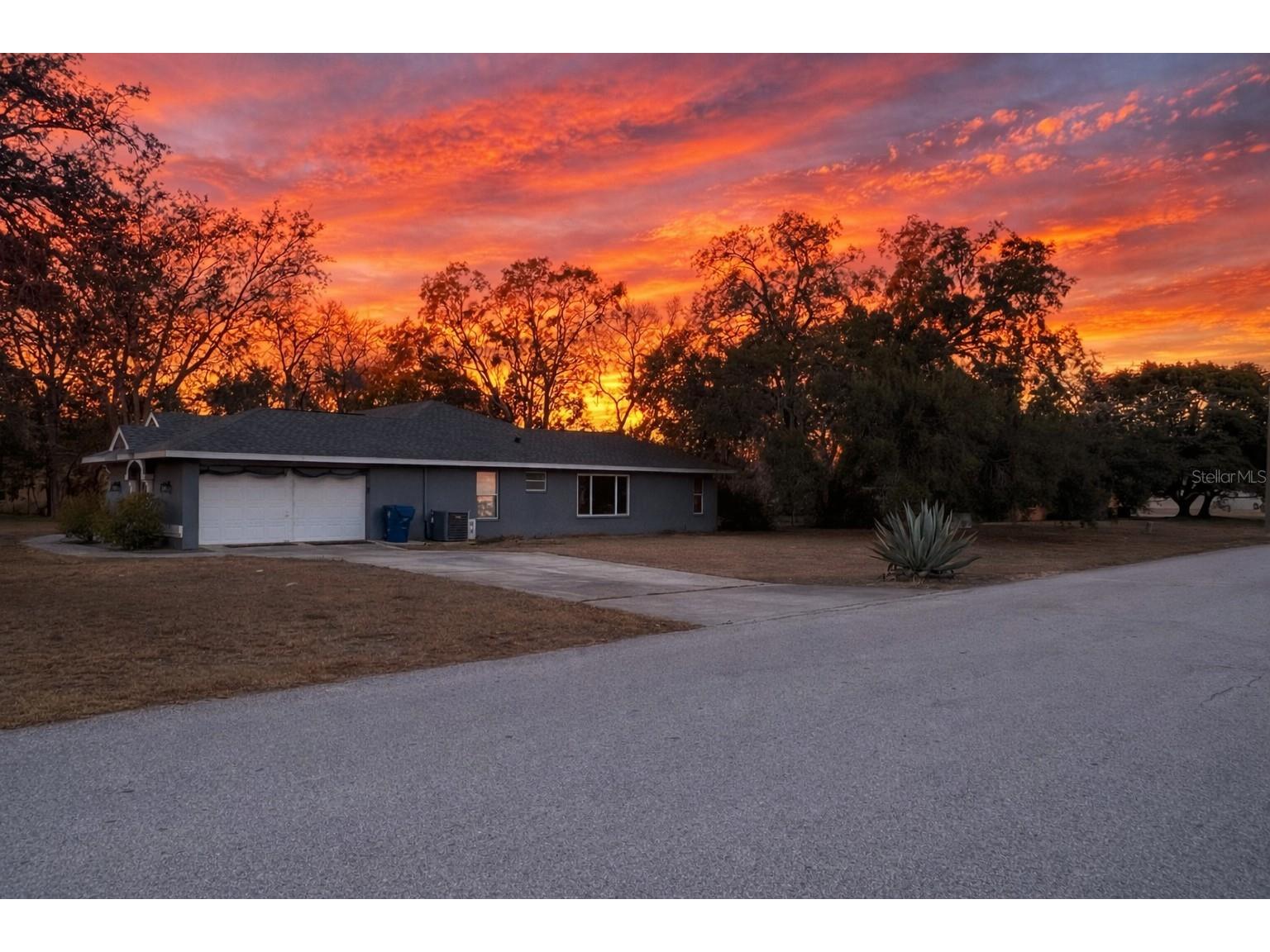 2463 Stephanie Drive Spring Hill FL 34608 W7882528 image21