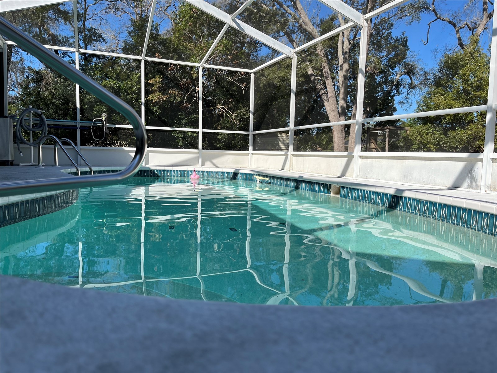 2463 Stephanie Drive Spring Hill FL 34608 W7882528 image22