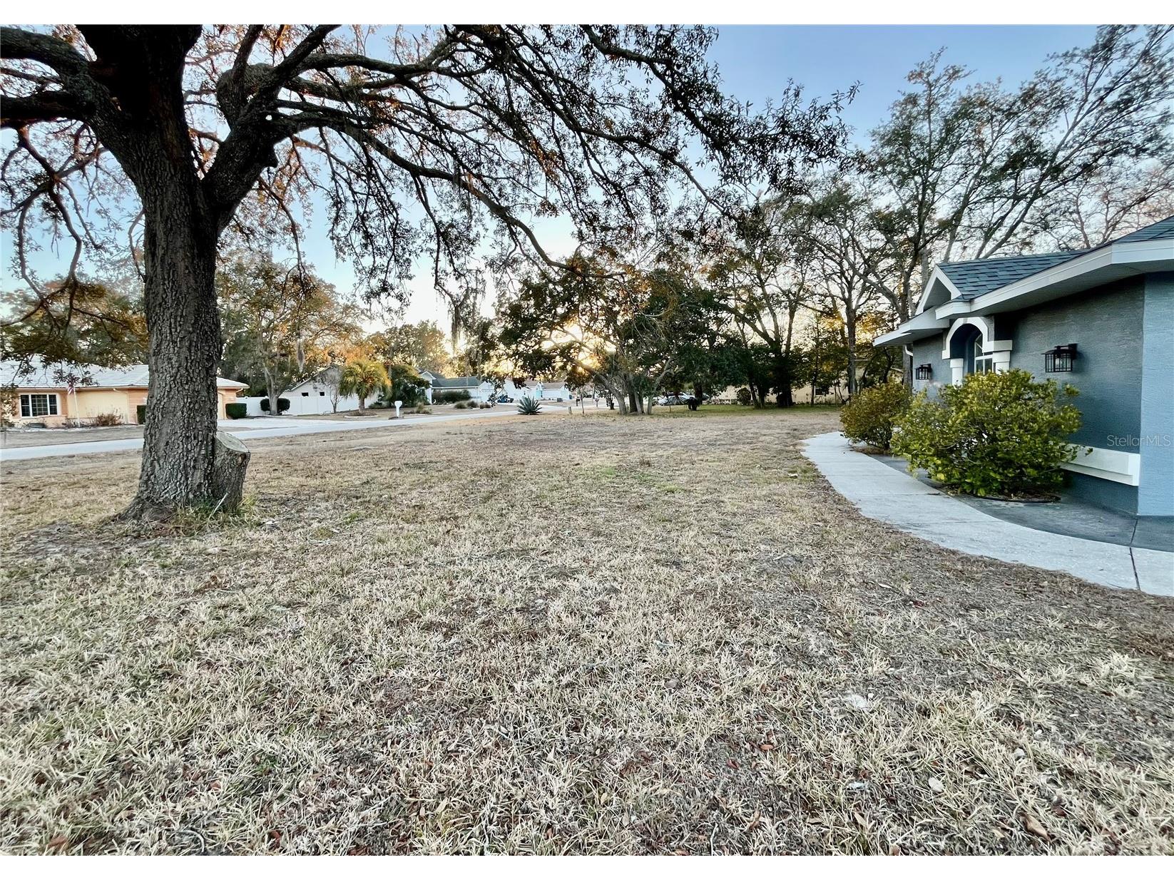 2463 Stephanie Drive Spring Hill FL 34608 W7882528 image25