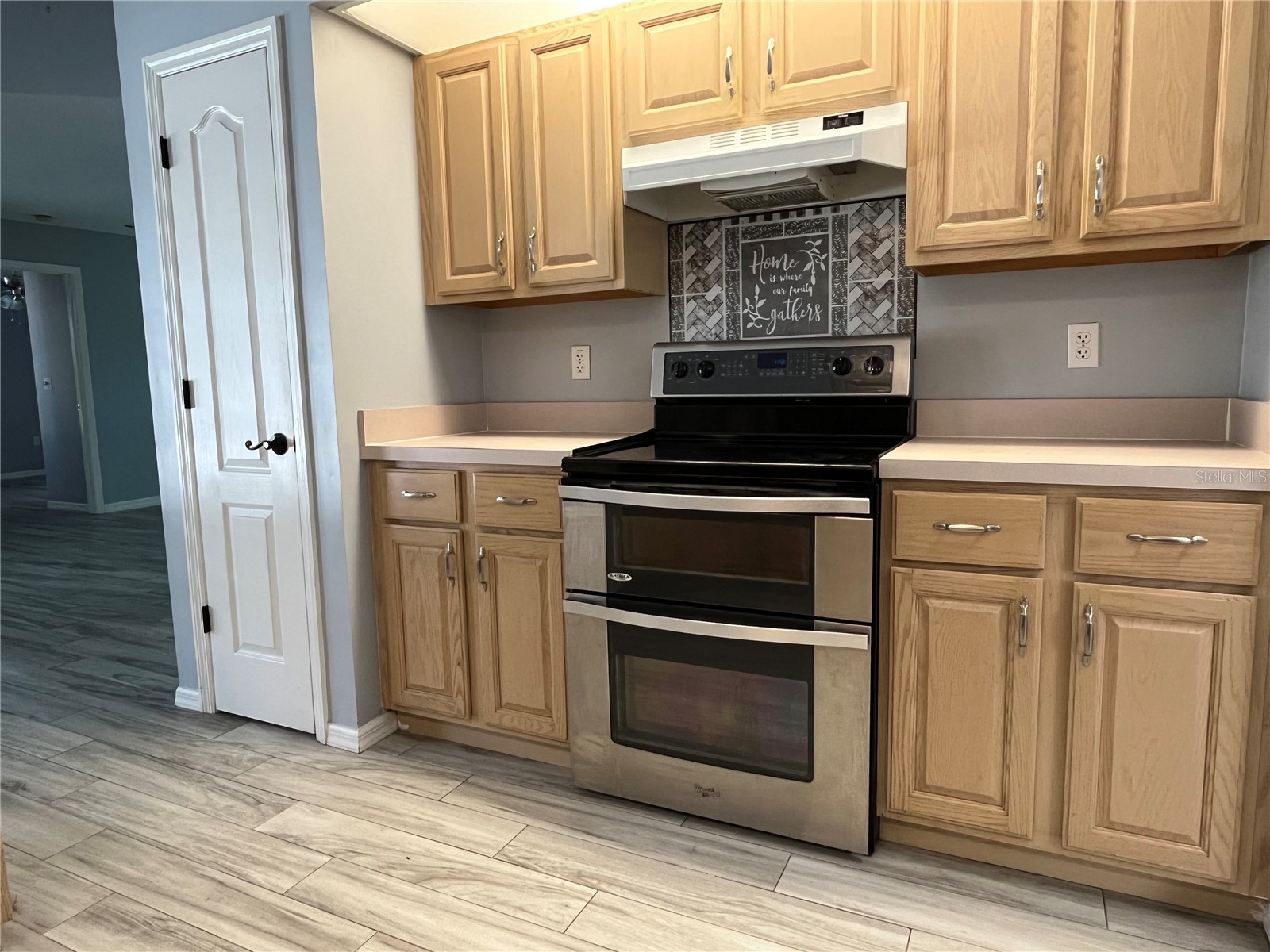 2463 Stephanie Drive Spring Hill FL 34608 W7882528 image8