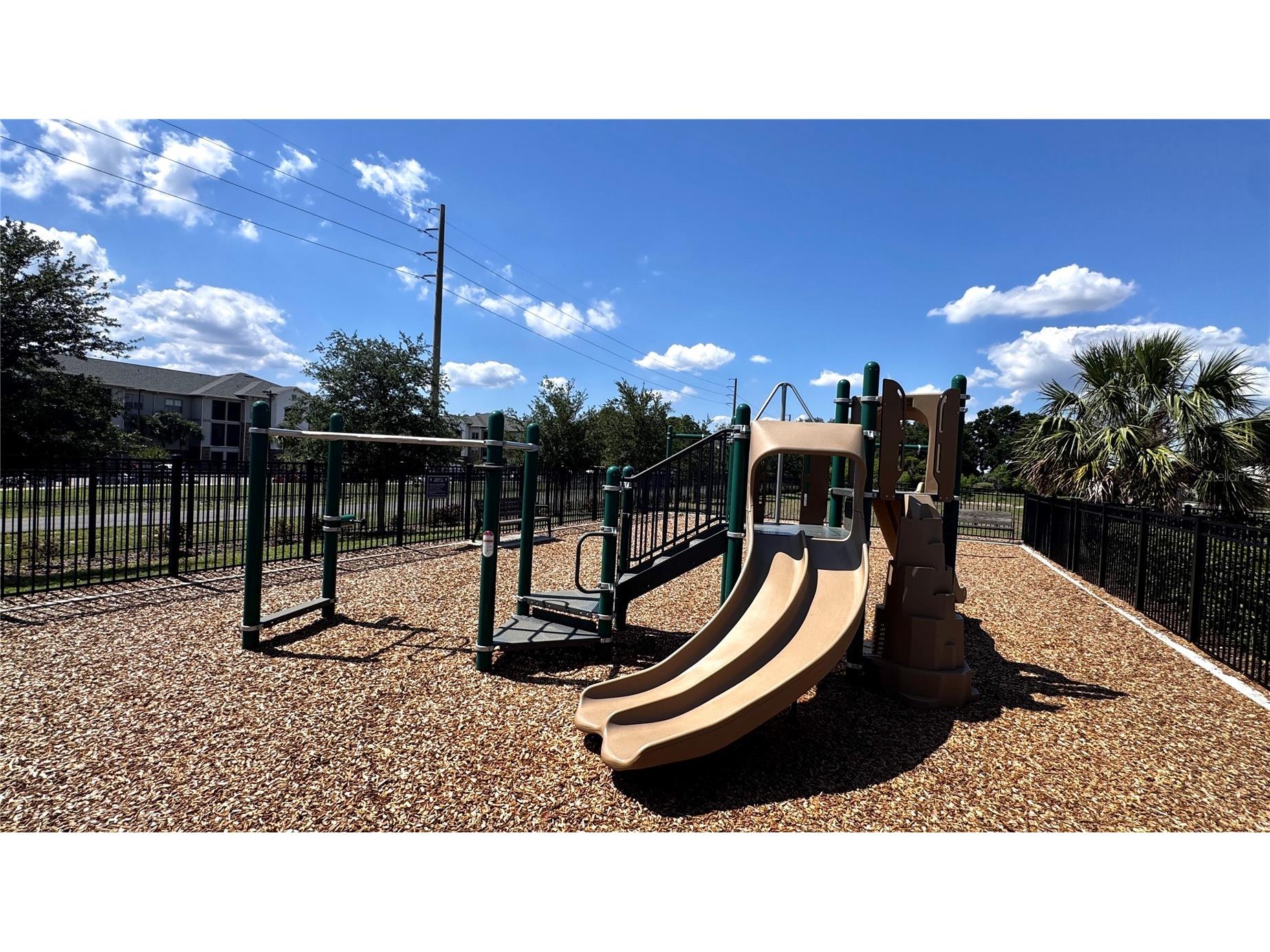 2463 Sweet Viburnum Way Ocoee FL 34761 O6419276 image30