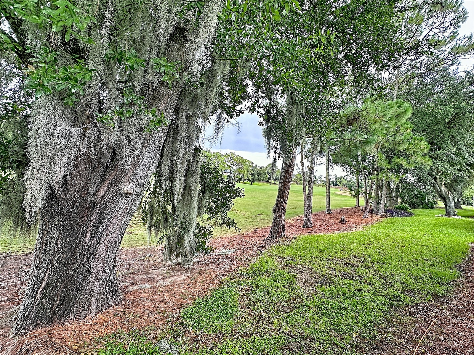 2464 Saint Augustine Boulevard Haines City FL 33844 S5151945 image20