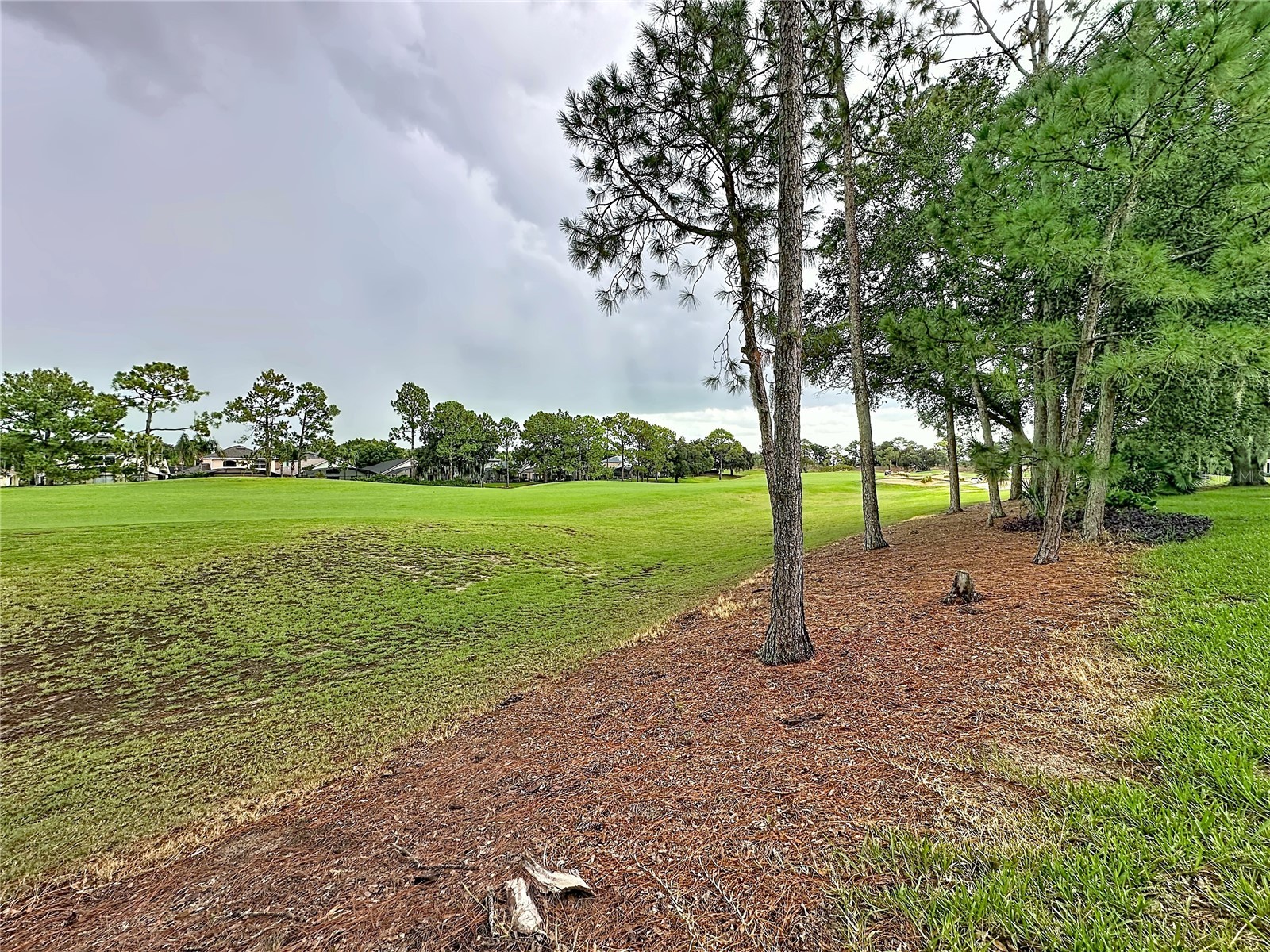 2464 Saint Augustine Boulevard Haines City FL 33844 S5151945 image21