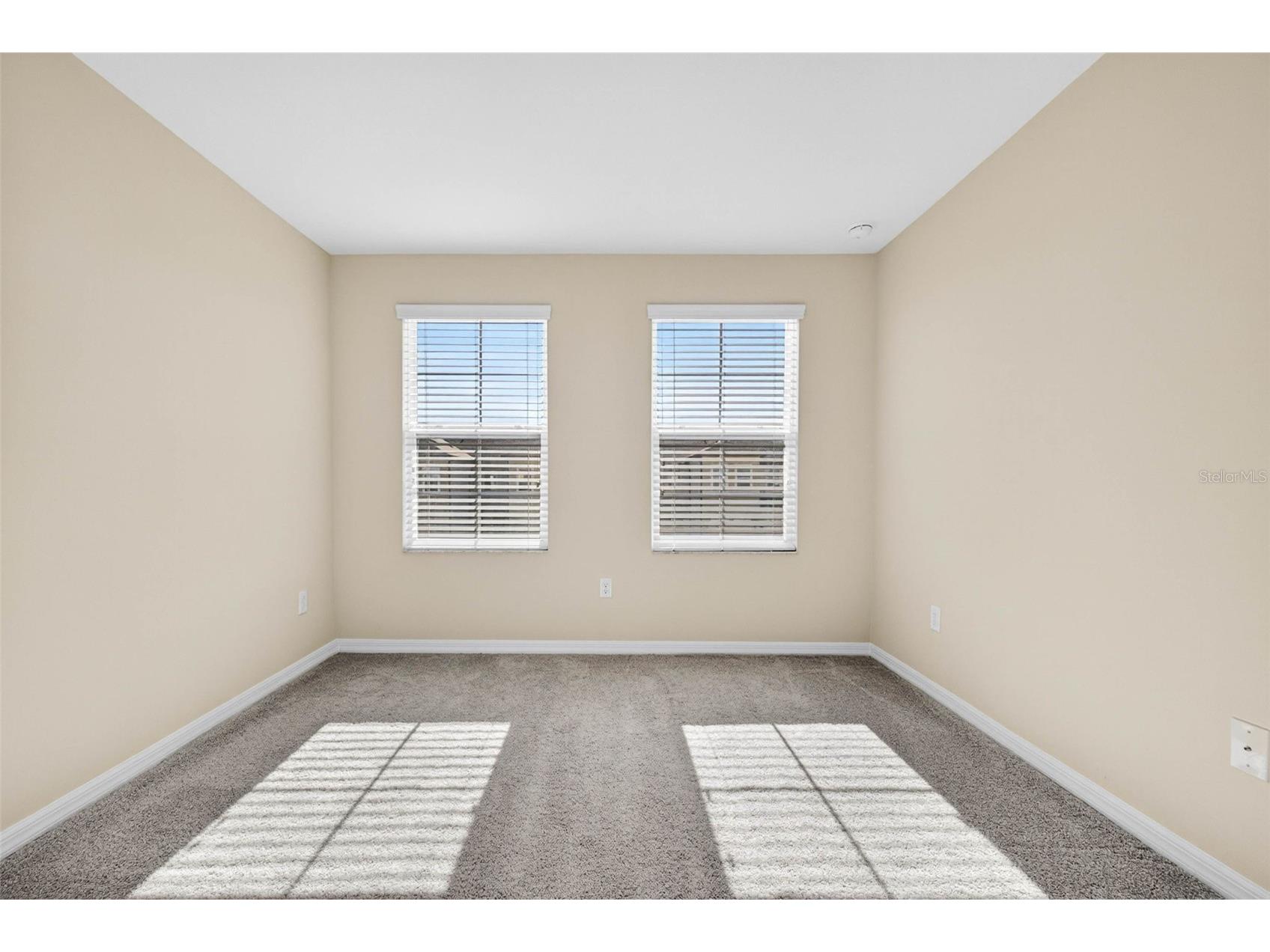 2464 Stapleford Place Wesley Chapel FL 33543 TB8506166 image31