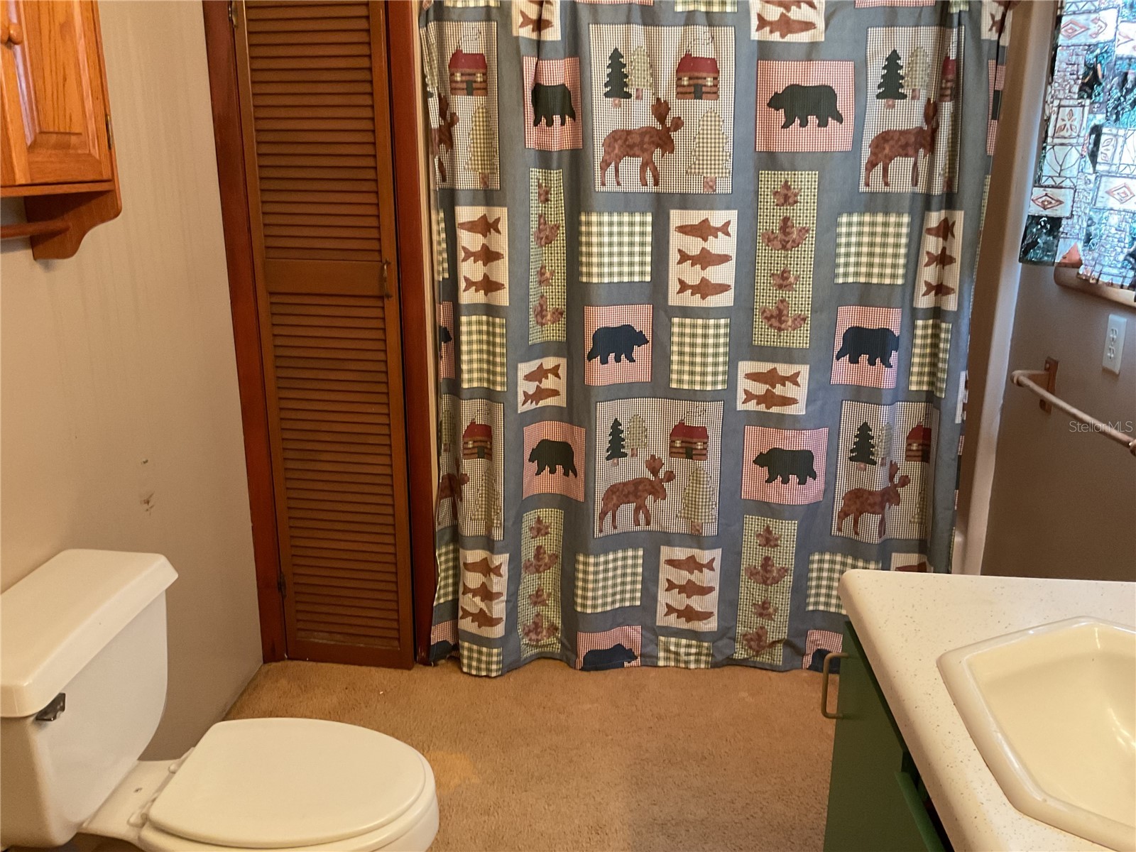 24642 NE 177th Terrace Fort Mc Coy FL 32134 OM724137 image16