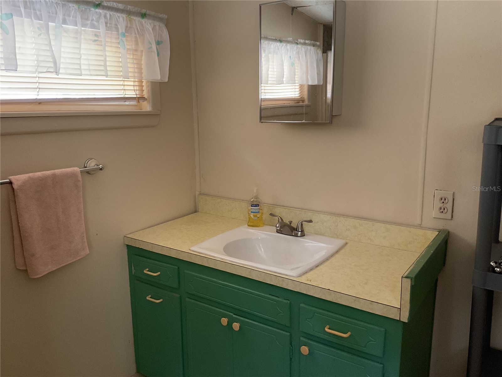 24642 NE 177th Terrace Fort Mc Coy FL 32134 OM724137 image21