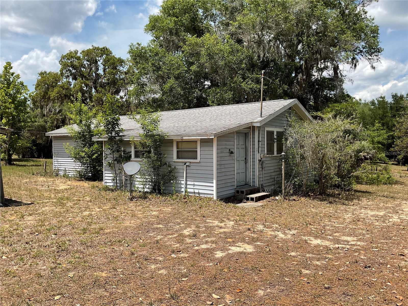 24642 NE 177th Terrace Fort Mc Coy FL 32134 OM724137 image24