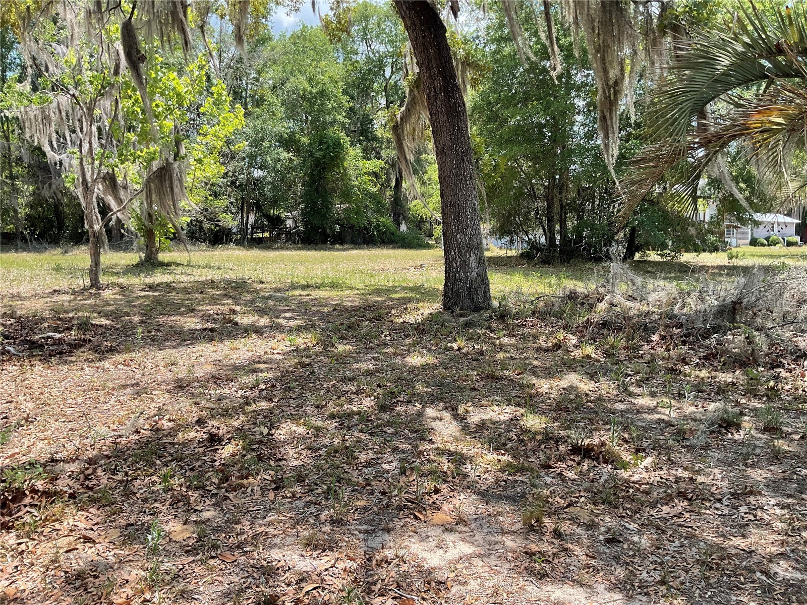 24642 NE 177th Terrace Fort Mc Coy FL 32134 OM724137 image25