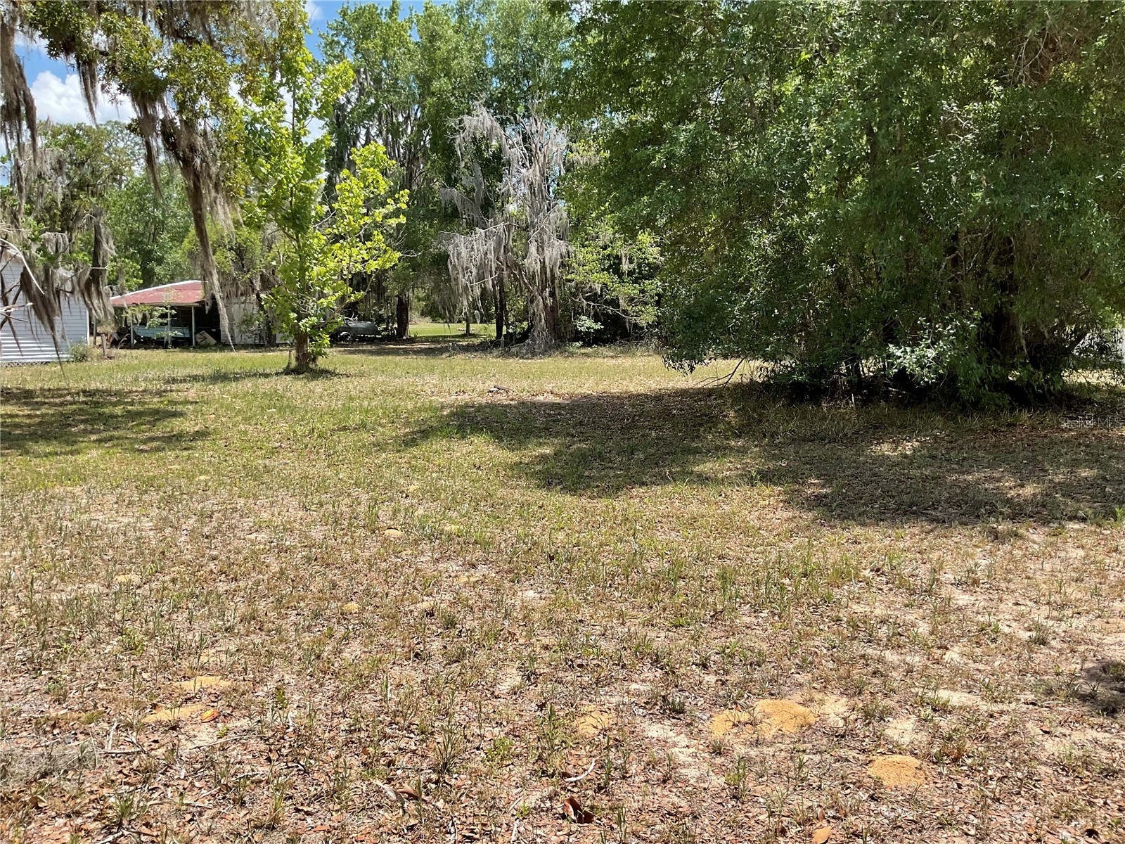 24642 NE 177th Terrace Fort Mc Coy FL 32134 OM724137 image26