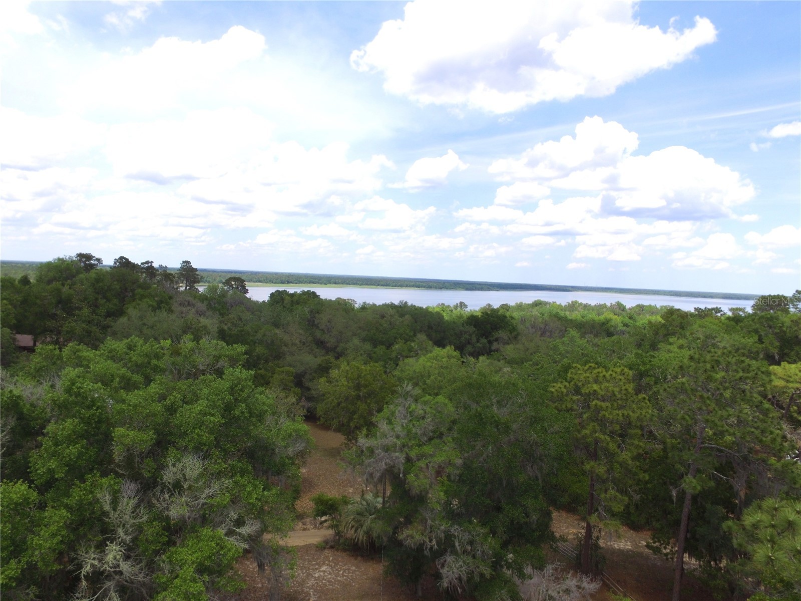 24642 NE 177th Terrace Fort Mc Coy FL 32134 OM724137 image28