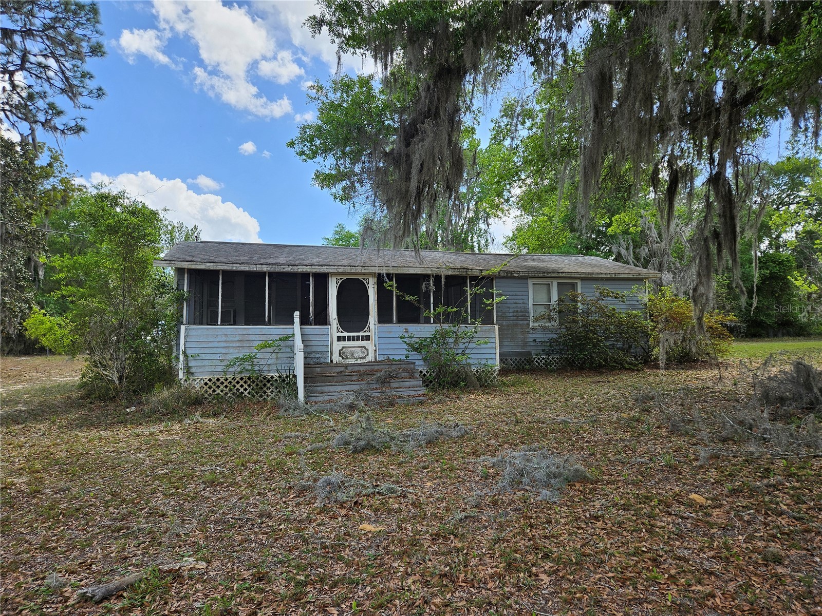 24642 NE 177th Terrace Fort Mc Coy FL 32134 OM724137 image4