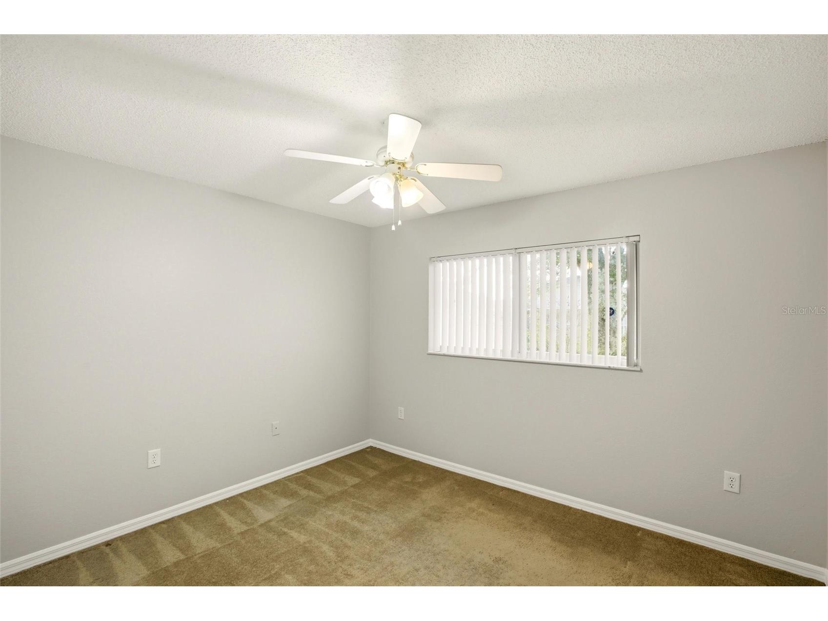 24644 Laurel Ridge Drive Lutz FL 33559 TB8487572 image25