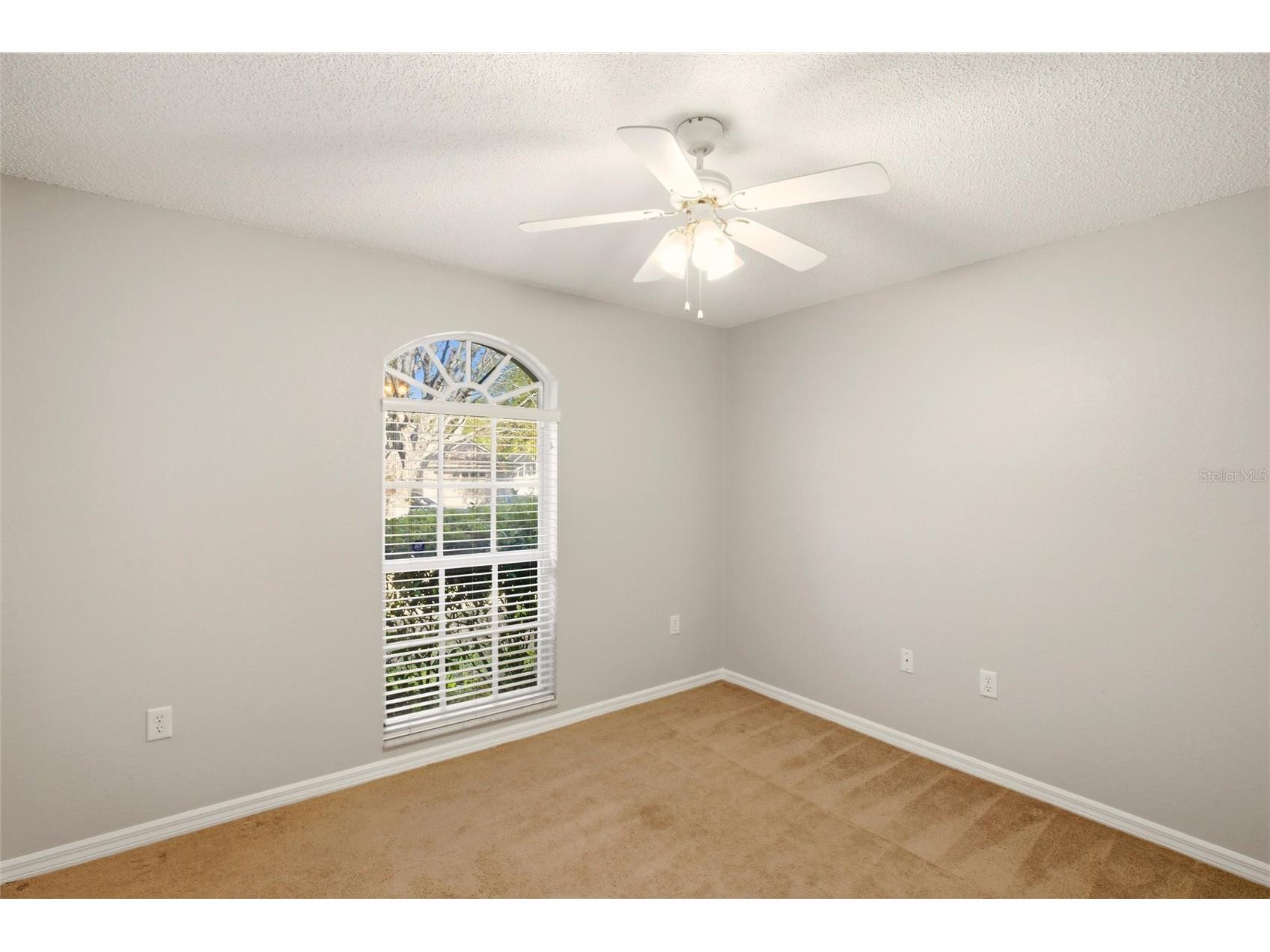 24644 Laurel Ridge Drive Lutz FL 33559 TB8487572 image30