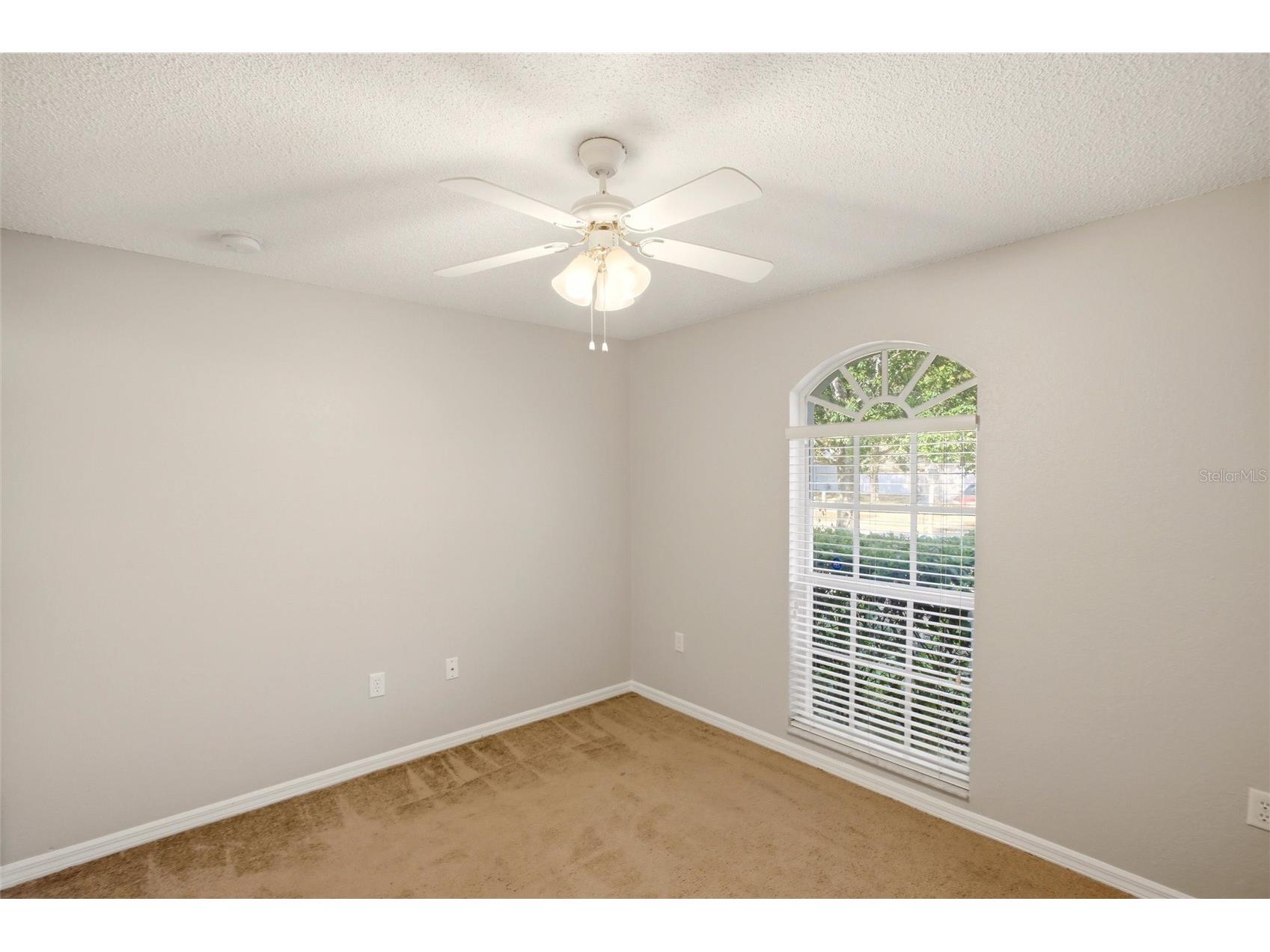 24644 Laurel Ridge Drive Lutz FL 33559 TB8487572 image31