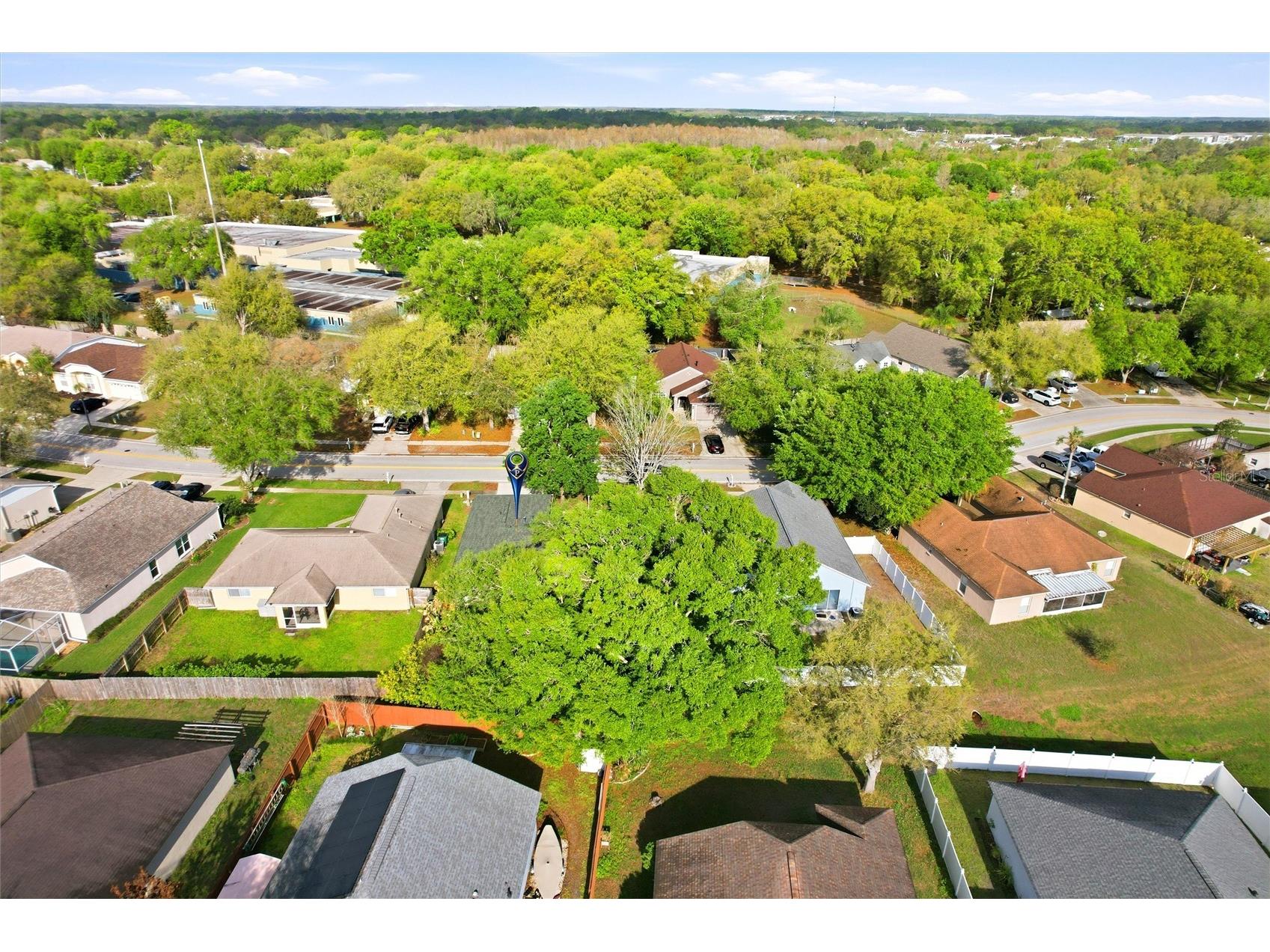 24644 Laurel Ridge Drive Lutz FL 33559 TB8487572 image39