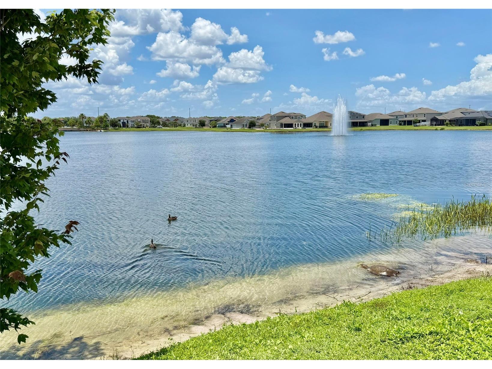2465 Annacella Avenue Kissimmee FL 34741 O6420558 image38