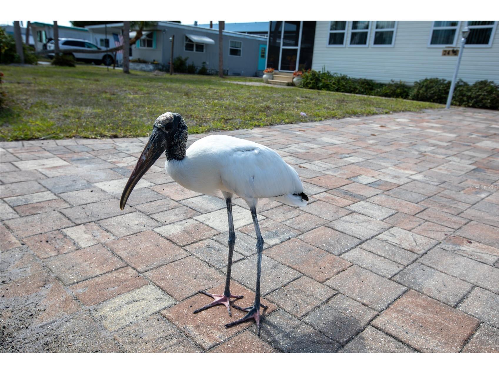 2465 Heron Drive Englewood FL 34224 C7525257 image5