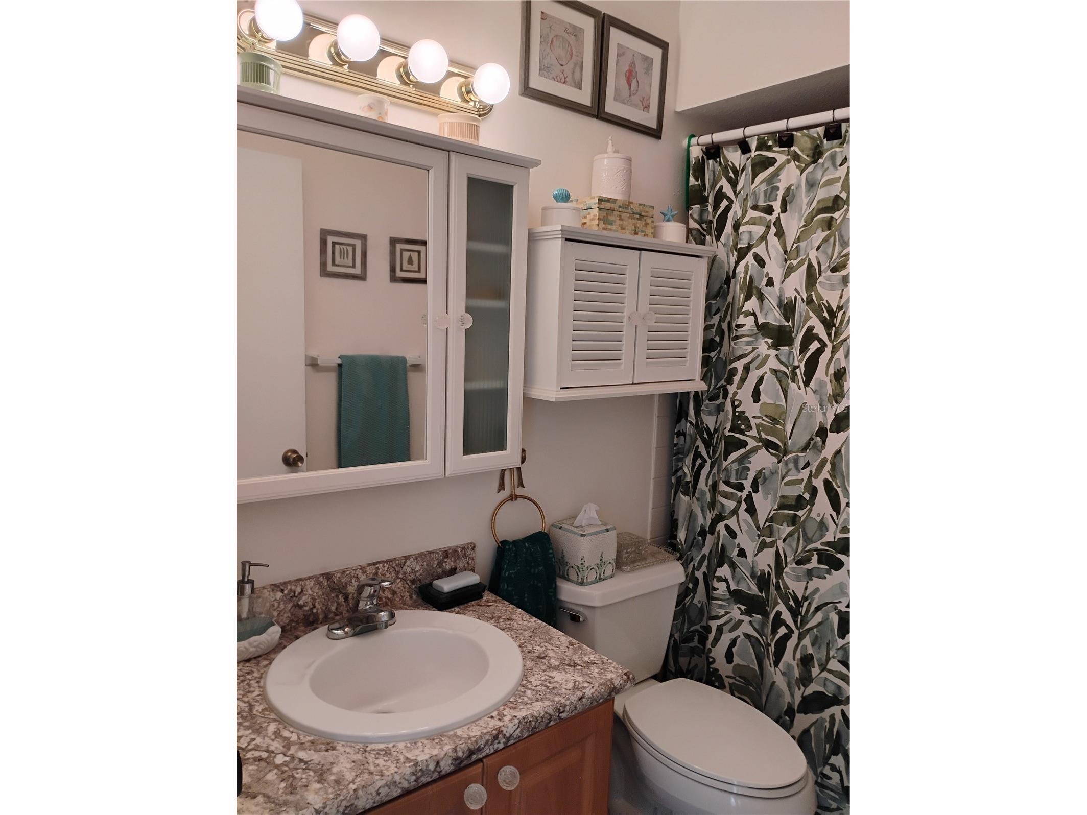 2465 Northside Drive #1001 Clearwater FL 33761 TB8463639 image19