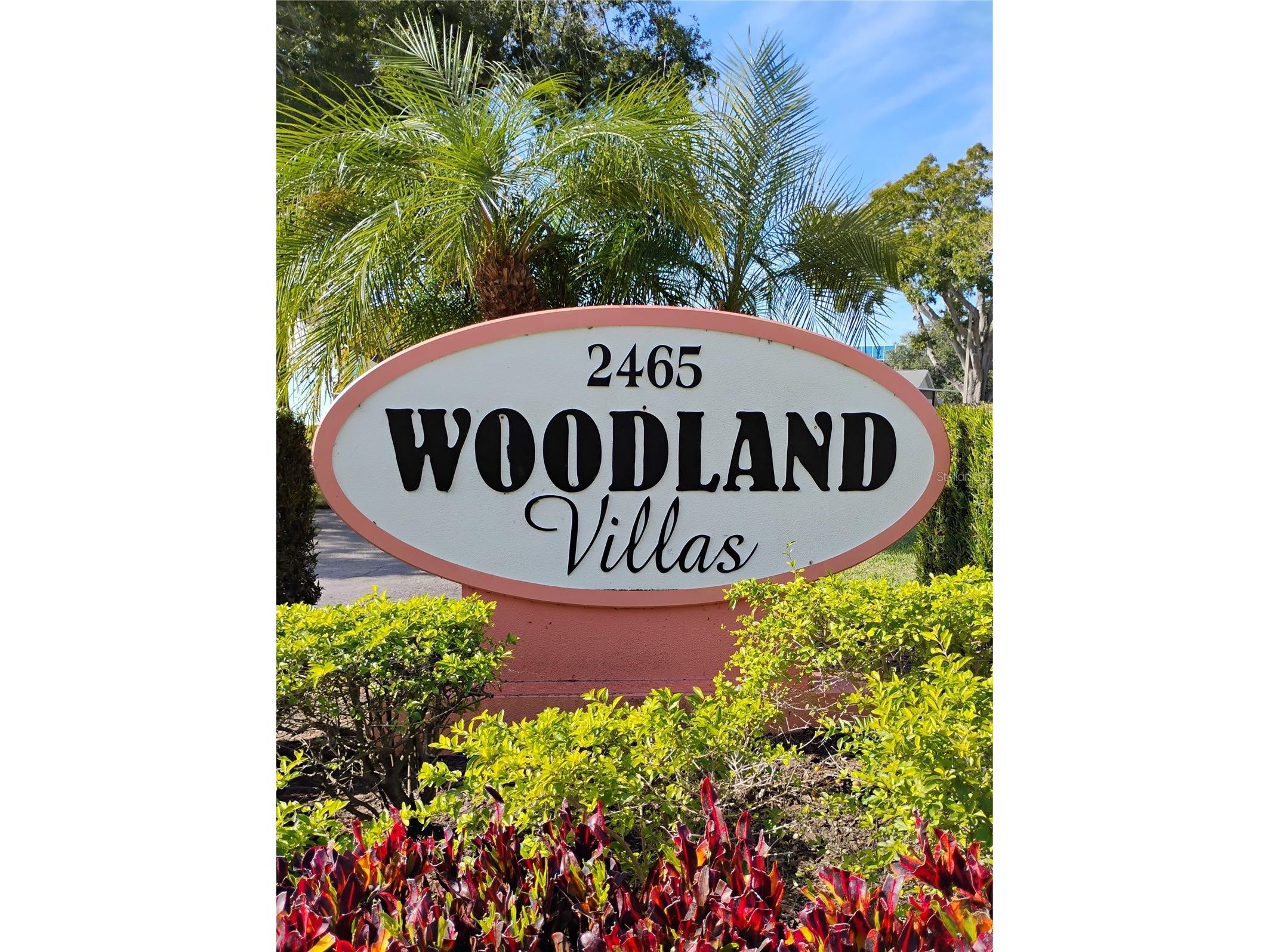 2465 Northside Drive #1001 Clearwater FL 33761 TB8463639 image2