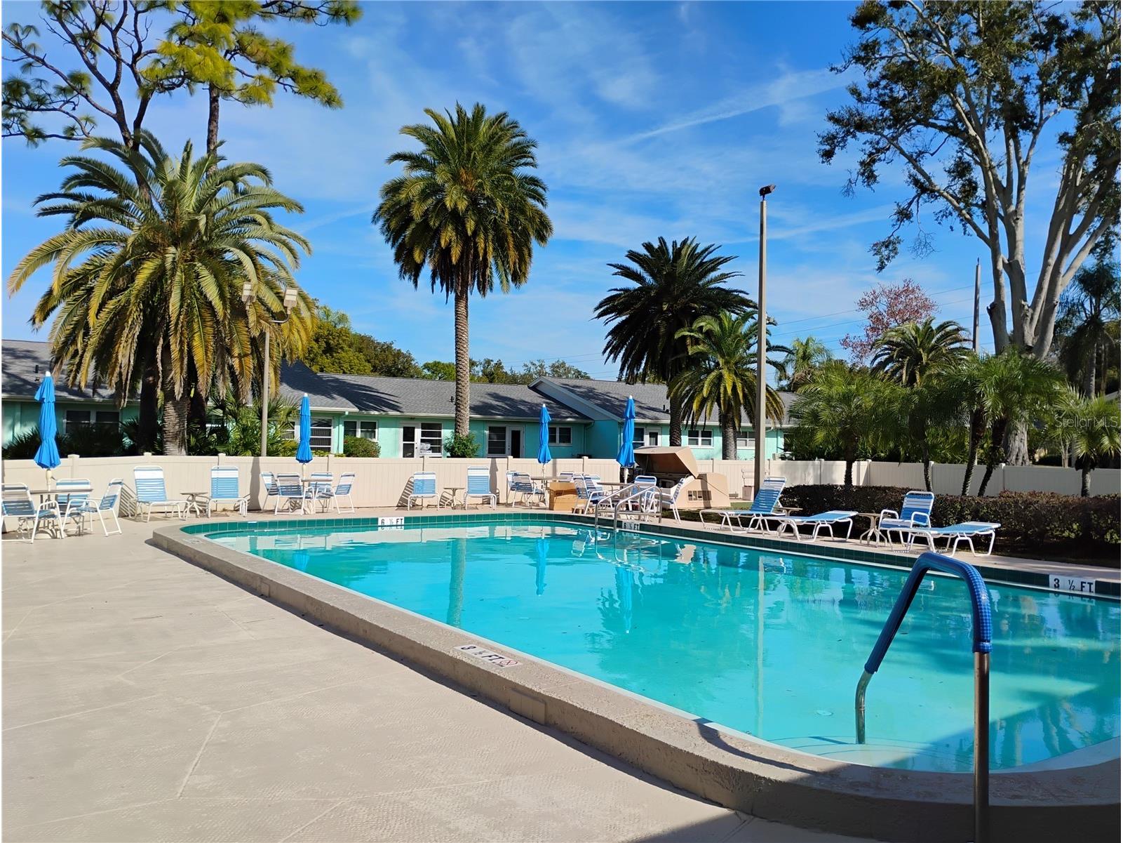 2465 Northside Drive #1001 Clearwater FL 33761 TB8463639 image41