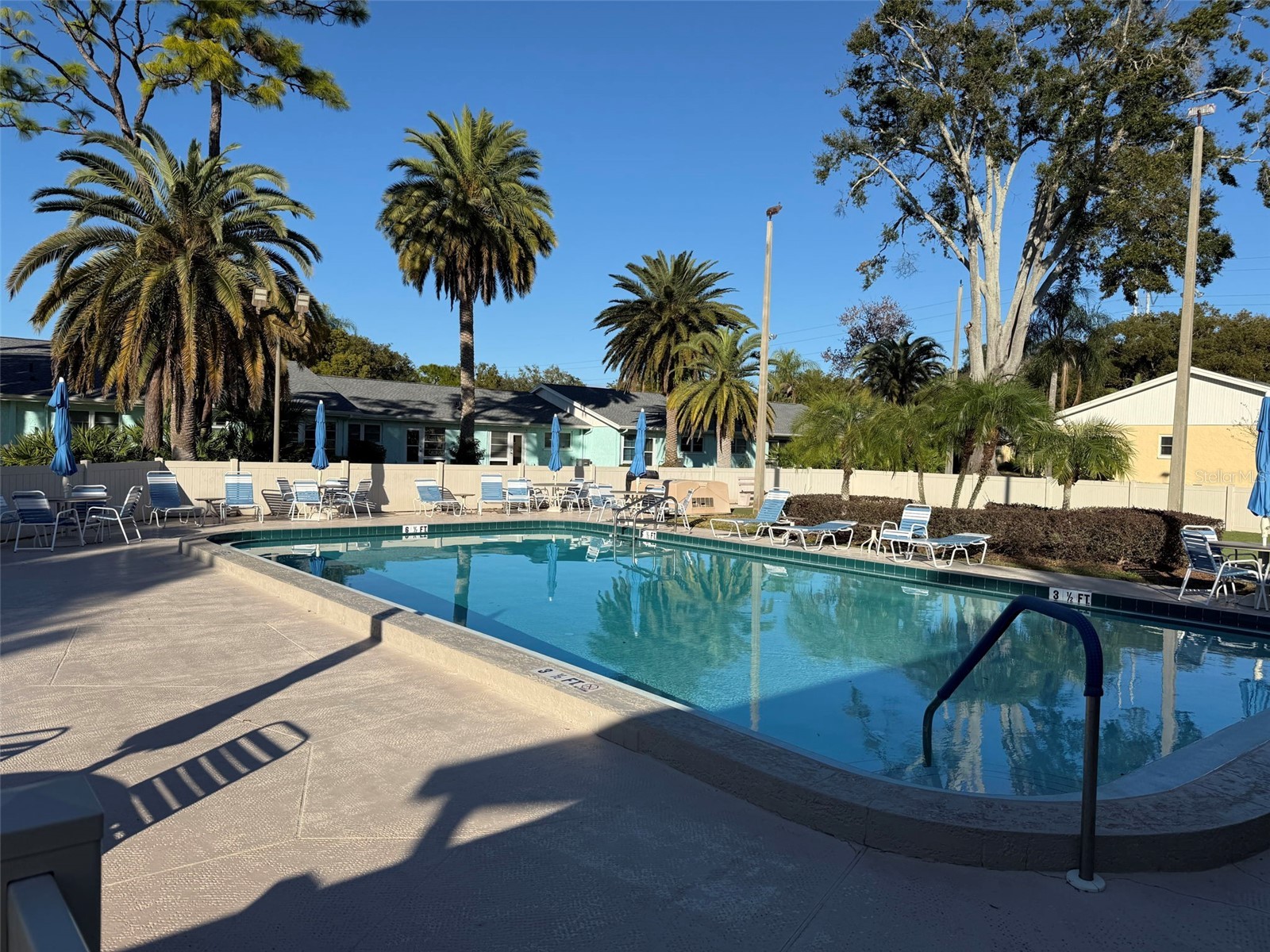 2465 Northside Drive #102 Clearwater FL 33761 TB8515059 image21