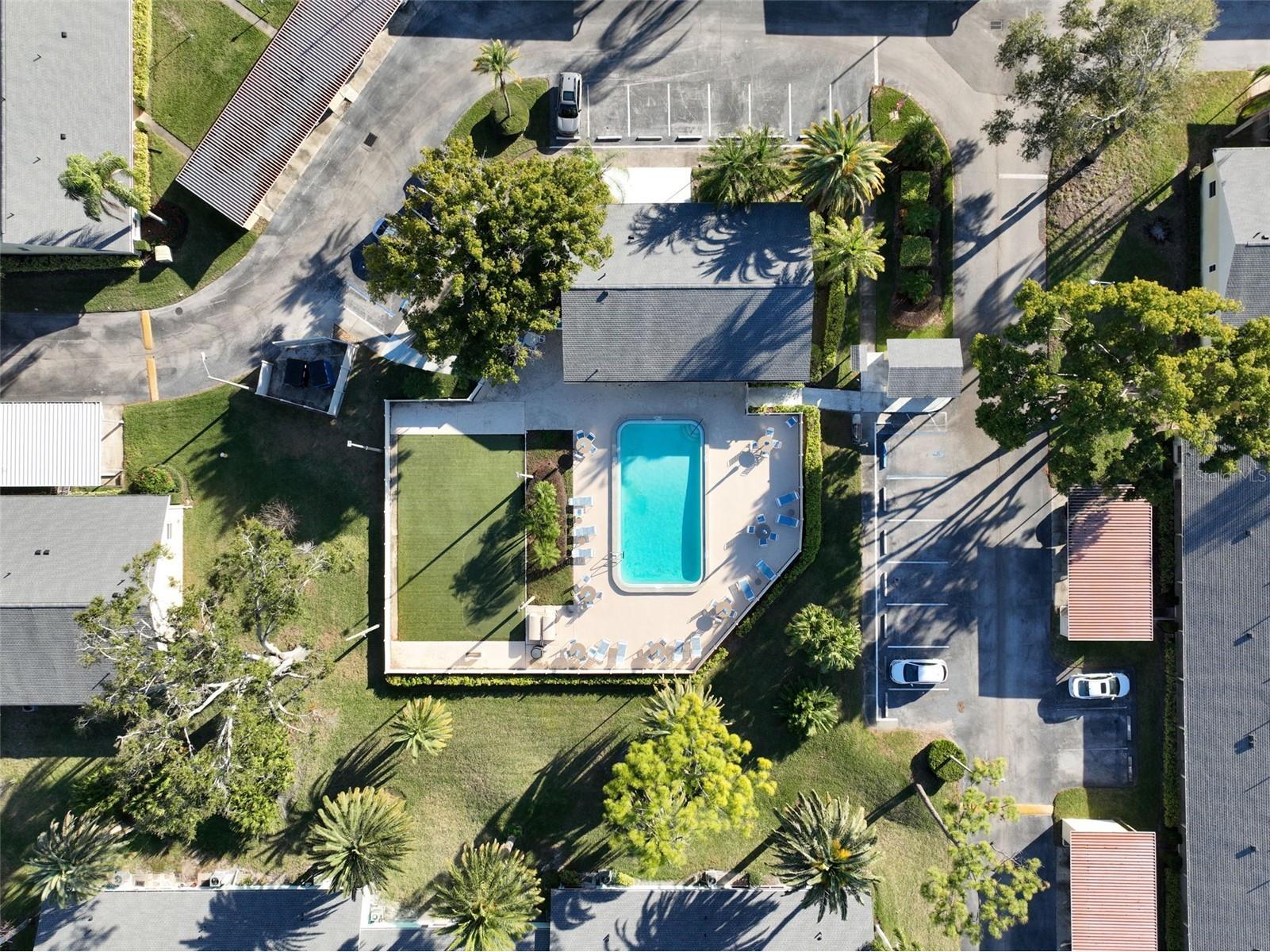2465 Northside Drive #102 Clearwater FL 33761 TB8515059 image22