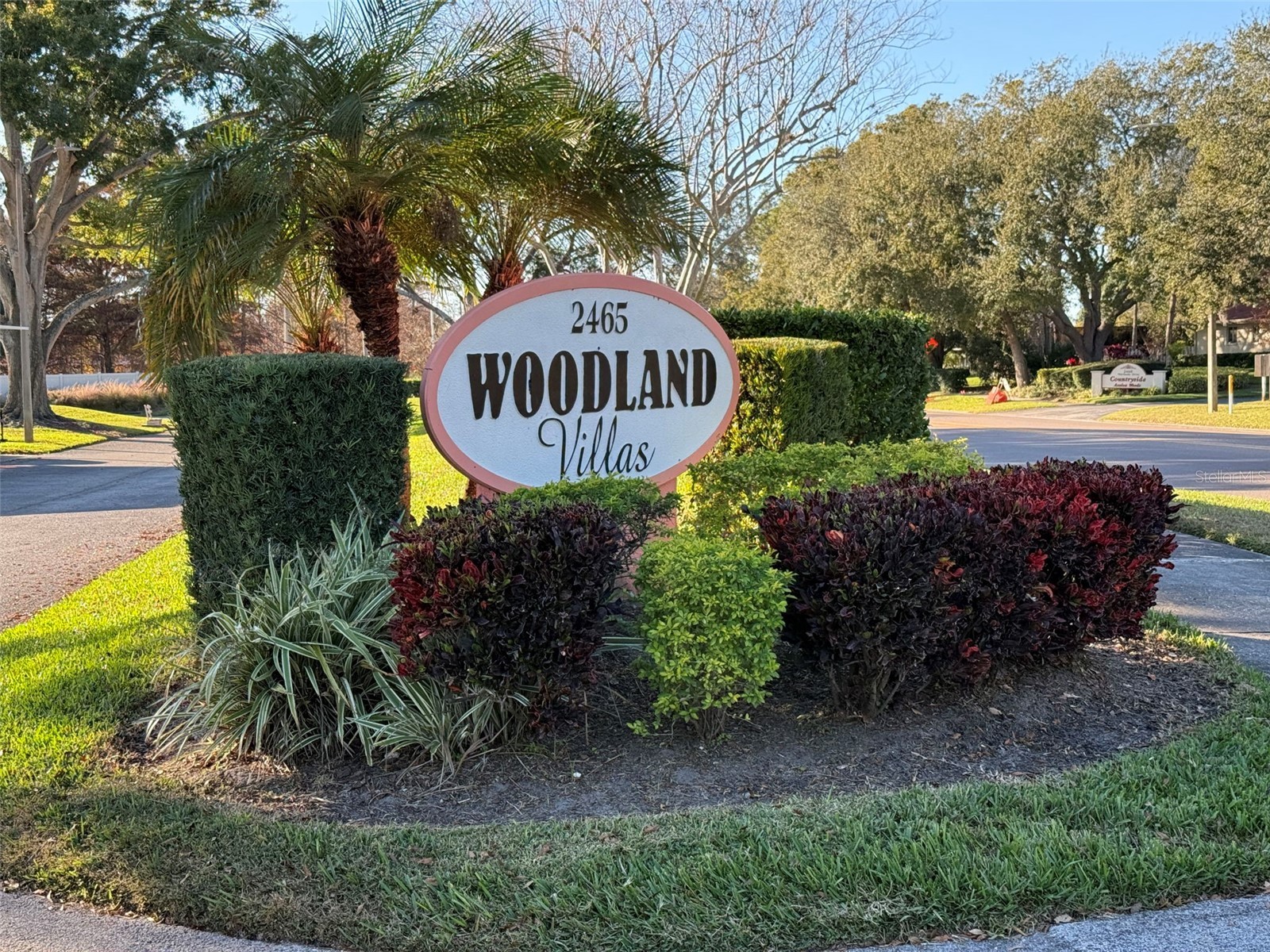 2465 Northside Drive #102 Clearwater FL 33761 TB8515059 image25