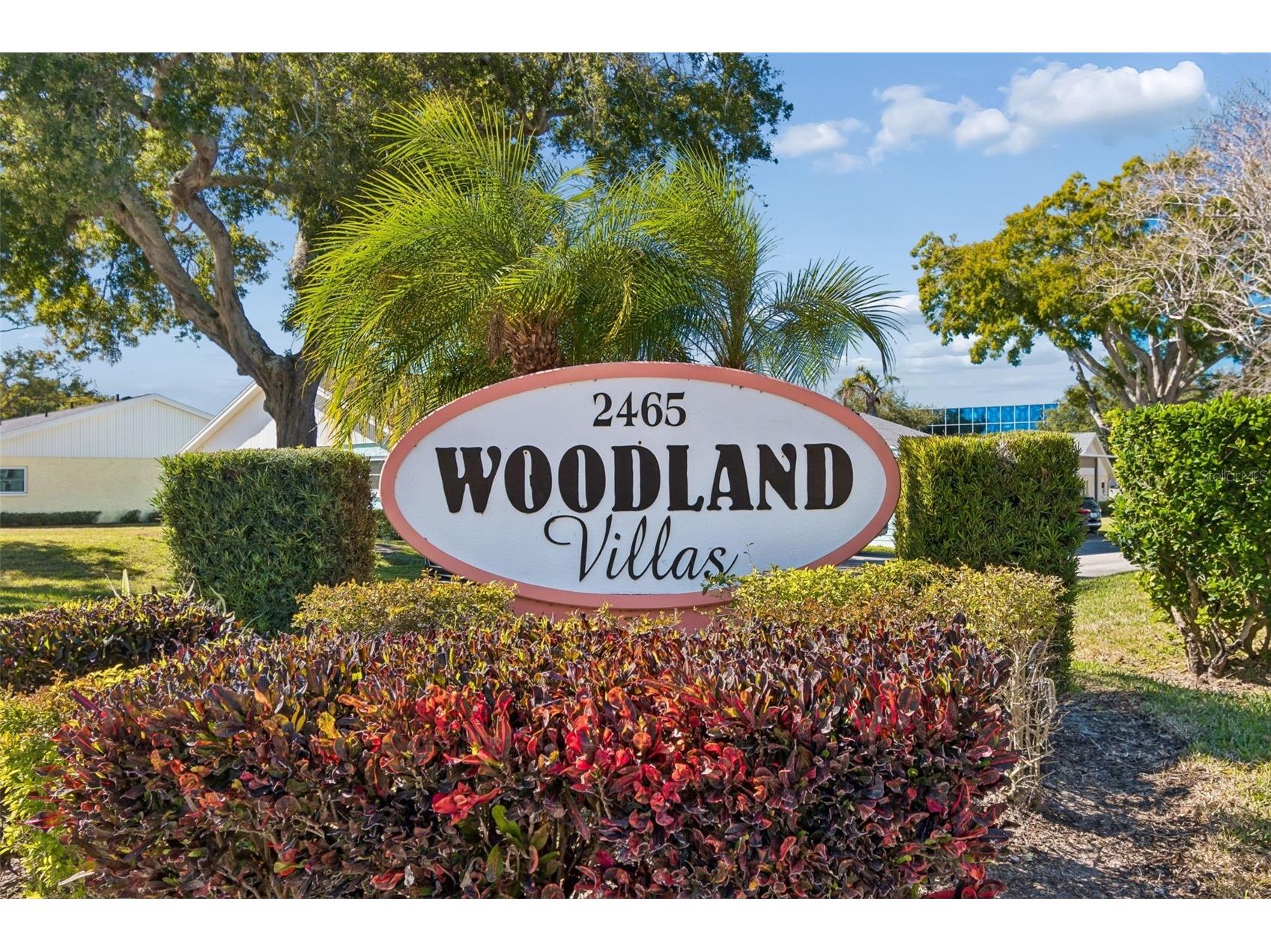 2465 Northside Drive #1502 Clearwater FL 33761 TB8471900 image50